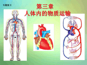 济南版生物七年级下册第三章人体内的物质运输复习课件.ppt