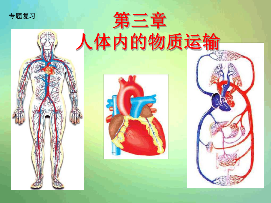 济南版生物七年级下册第三章人体内的物质运输复习课件.ppt_第1页