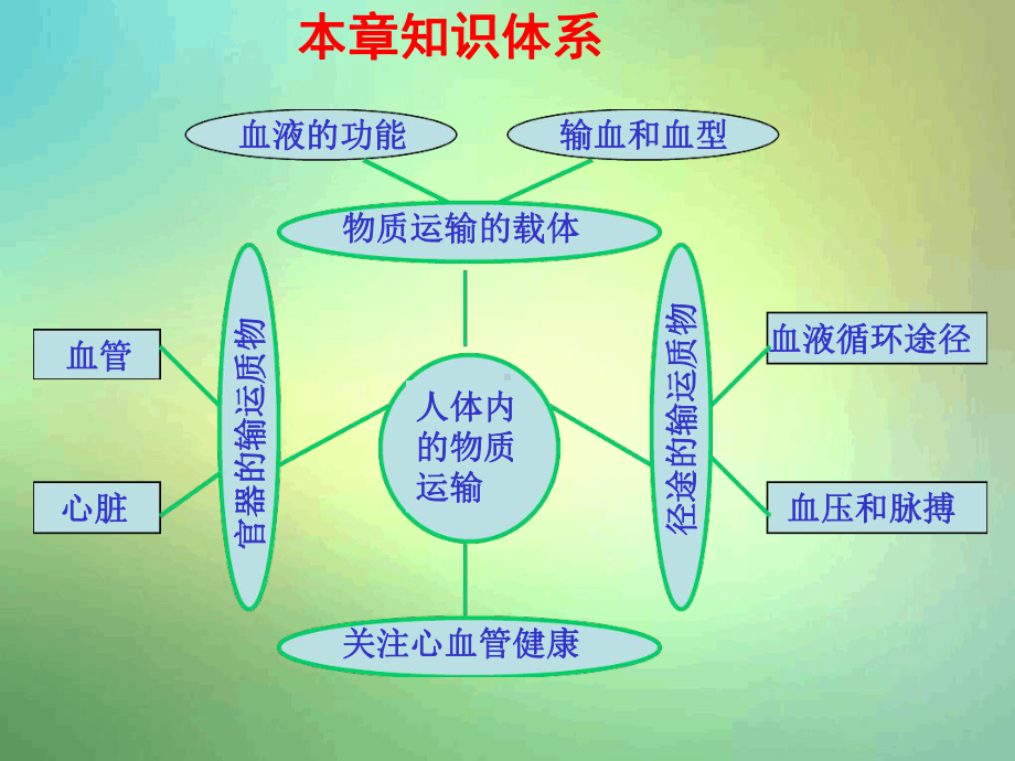 济南版生物七年级下册第三章人体内的物质运输复习课件.ppt_第2页