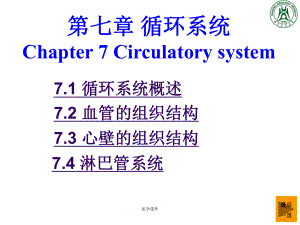 组织胚胎学循环系统课件.ppt