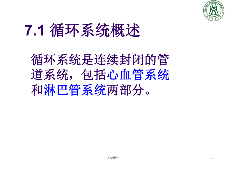 组织胚胎学循环系统课件.ppt_第2页