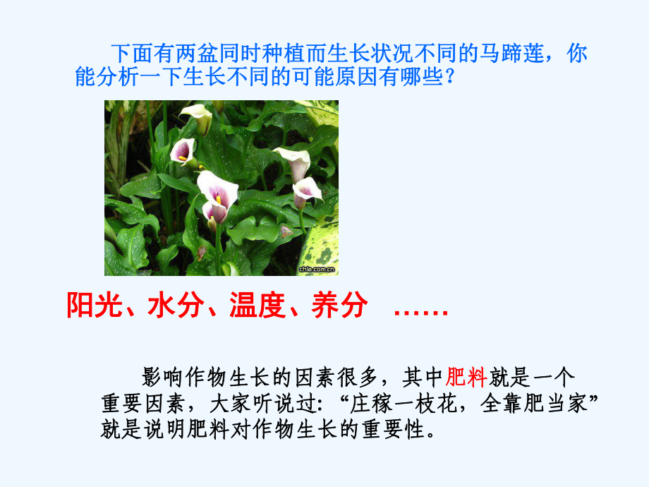 第十一单元课题化学肥料课件.ppt_第2页