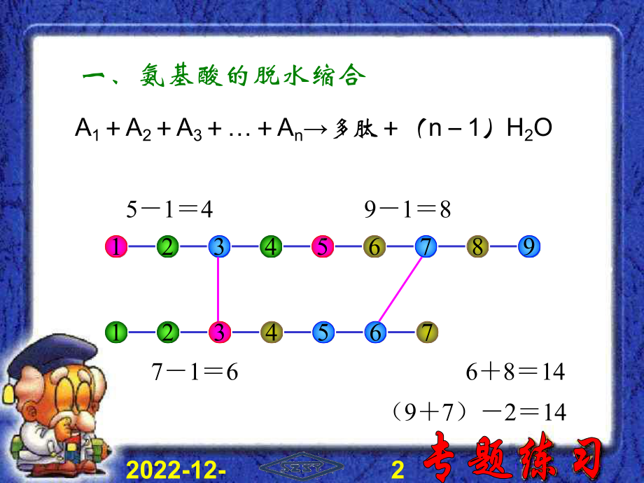 生物学中的数学计算高三生物课件全国生物教师素养大赛一等奖课件.ppt_第2页