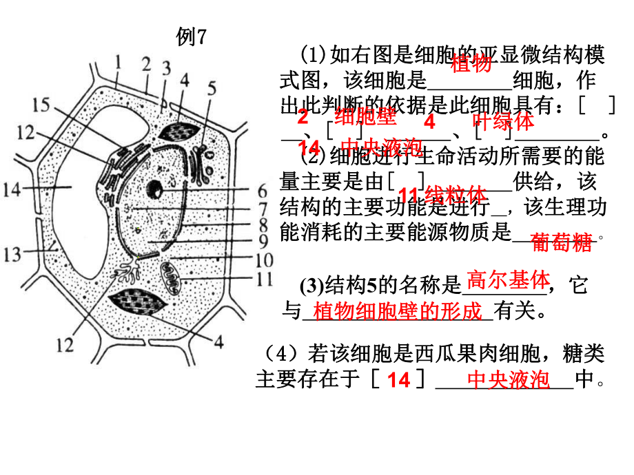 生物必修一典型题讲义课件.ppt_第2页