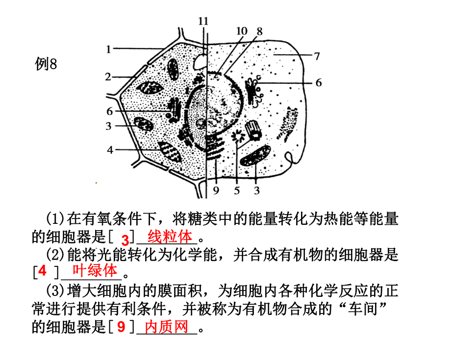 生物必修一典型题讲义课件.ppt_第3页