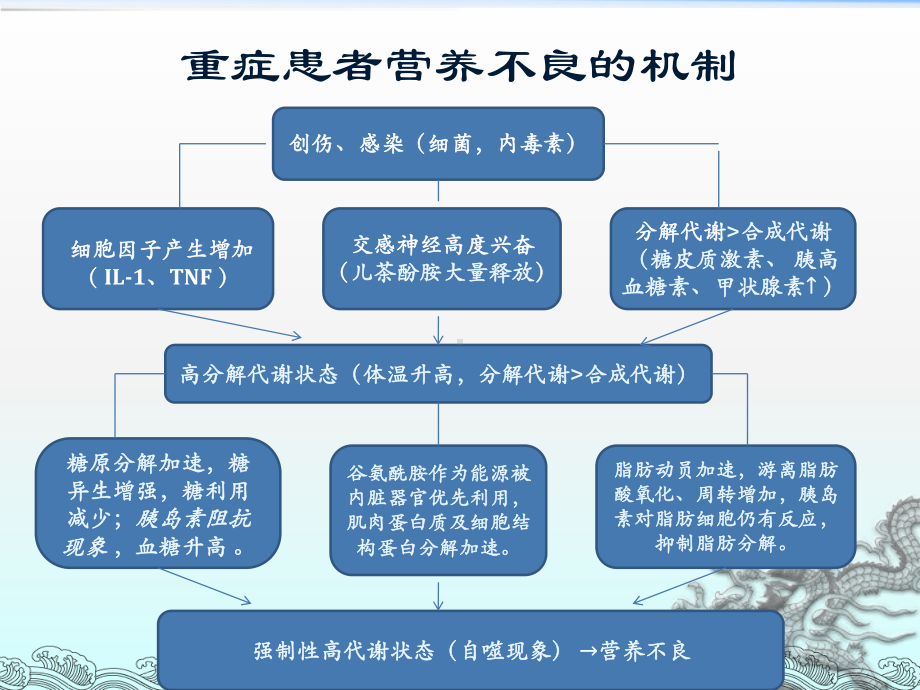 肠内肠外营养课件讲义02.ppt_第3页