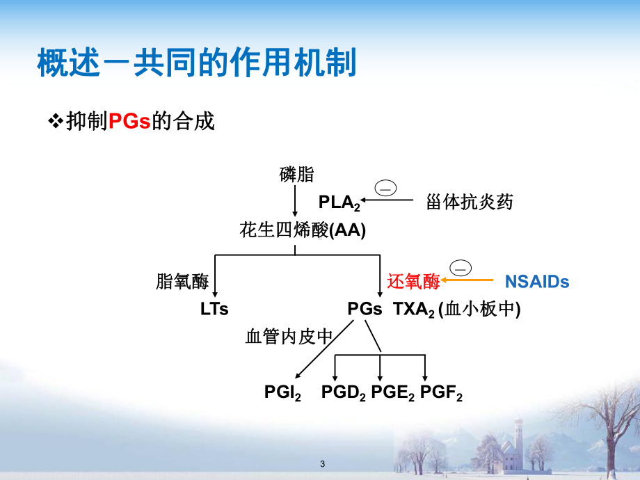 医学课件-药理学解热镇痛药教学课件.ppt_第3页