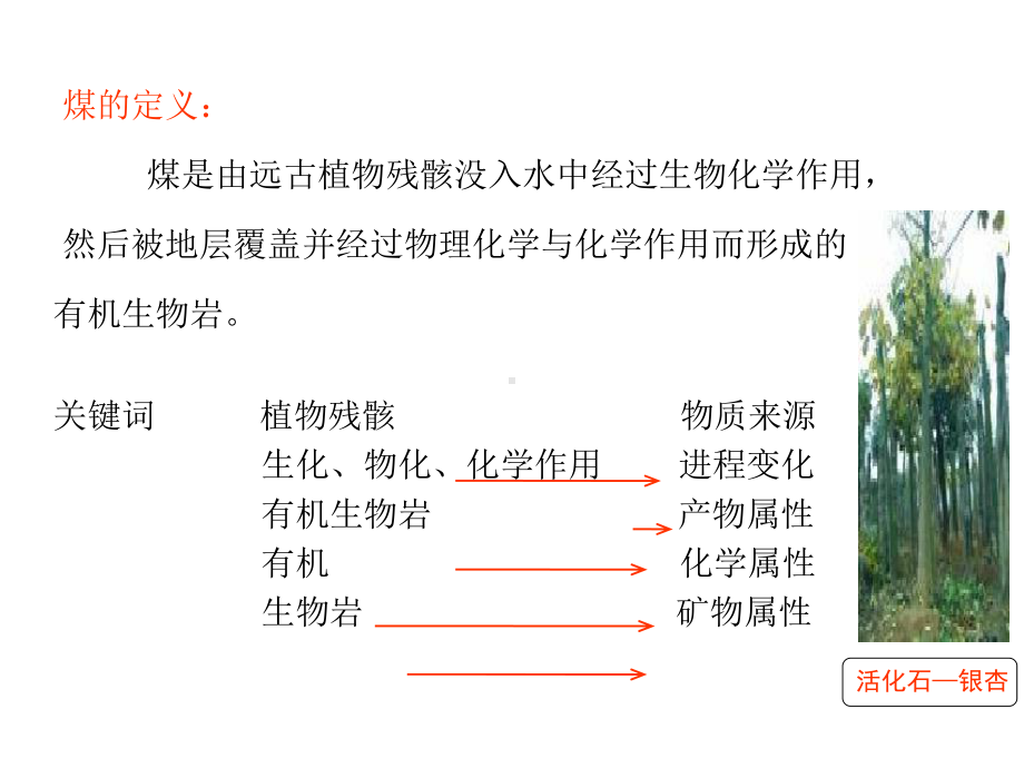 煤化学课件-第1章-煤的种类、特征与生成.ppt_第3页