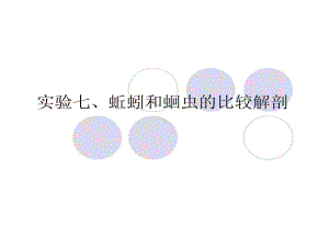 实验7蛔虫和蚯蚓比较解剖课件.ppt