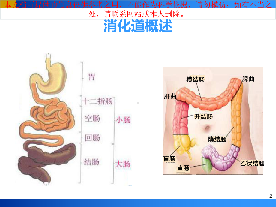 炎症性肠病IBD培训课件.ppt_第2页