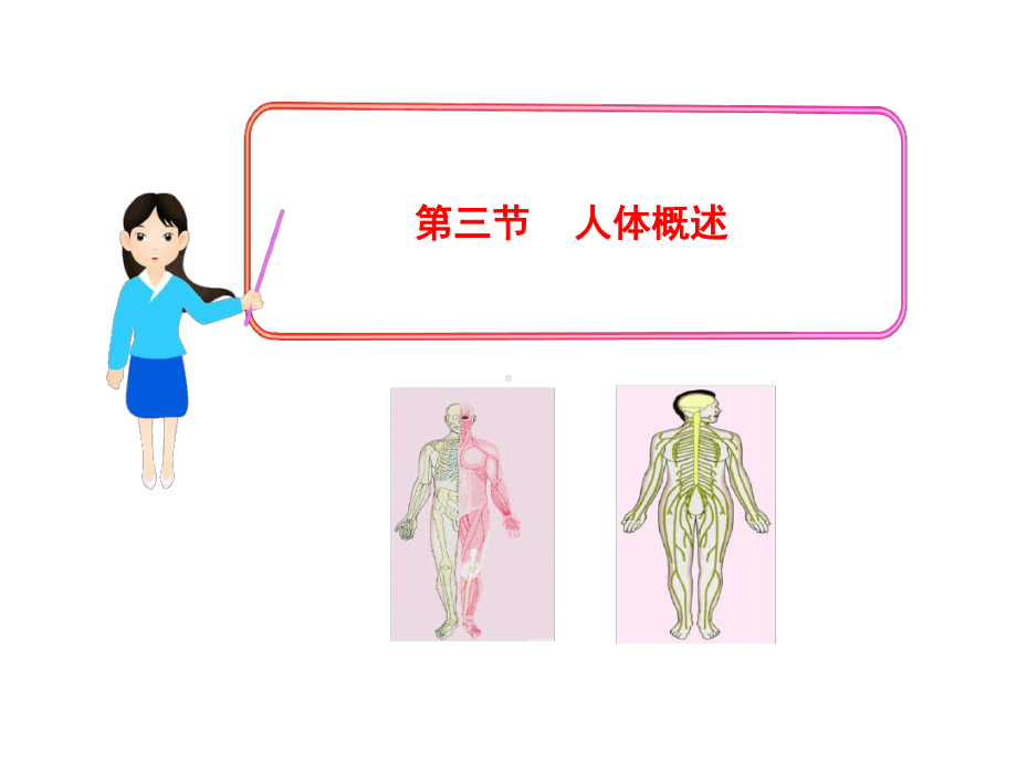 七年级下册生物课件-483人体概述课件5苏教版.ppt_第1页