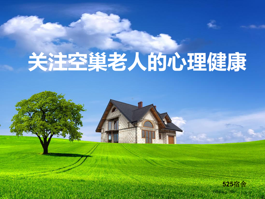 老年人的生活满意感课件.ppt_第1页