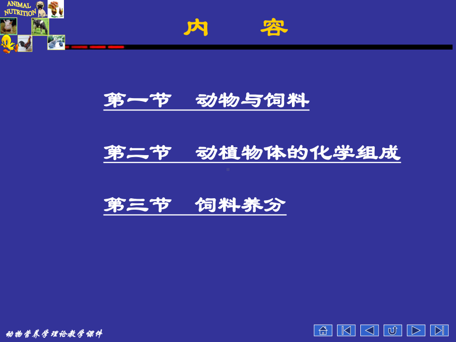 动物营养学-动物与饲料的化学组成课件.pptx_第3页