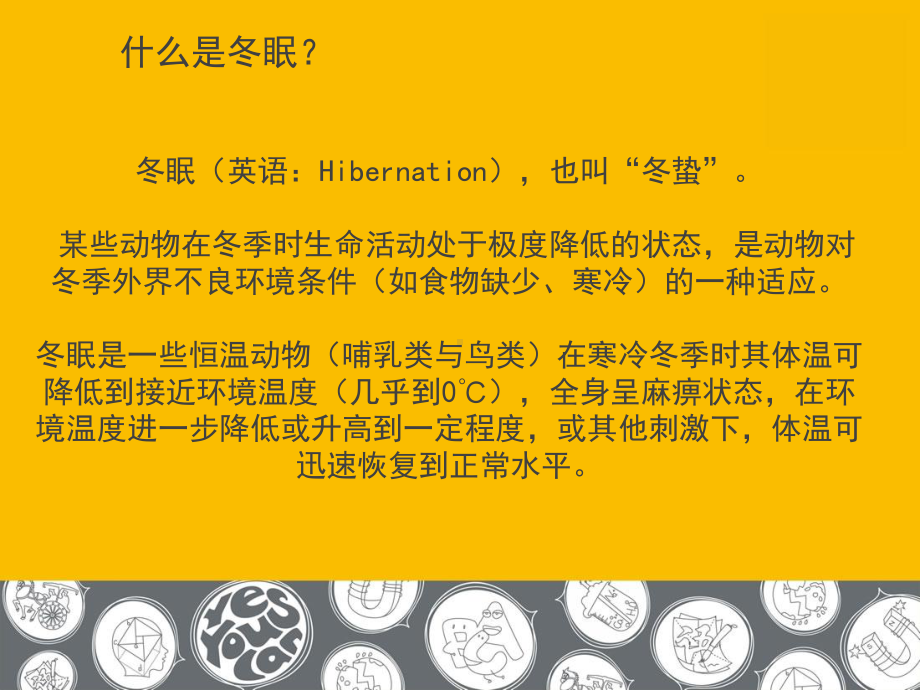 二年级上册美术课外探索B班课件-是谁在冬眠(共21张PPT)-全国通用.ppt_第3页