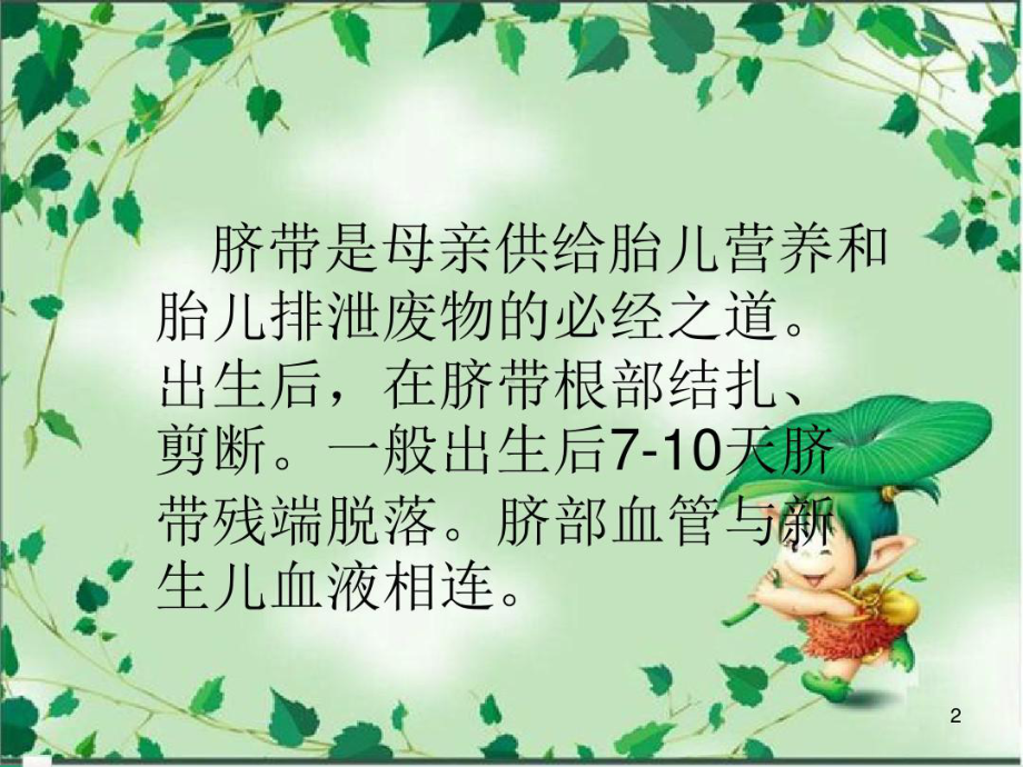 新生儿脐炎护理课件.ppt_第2页