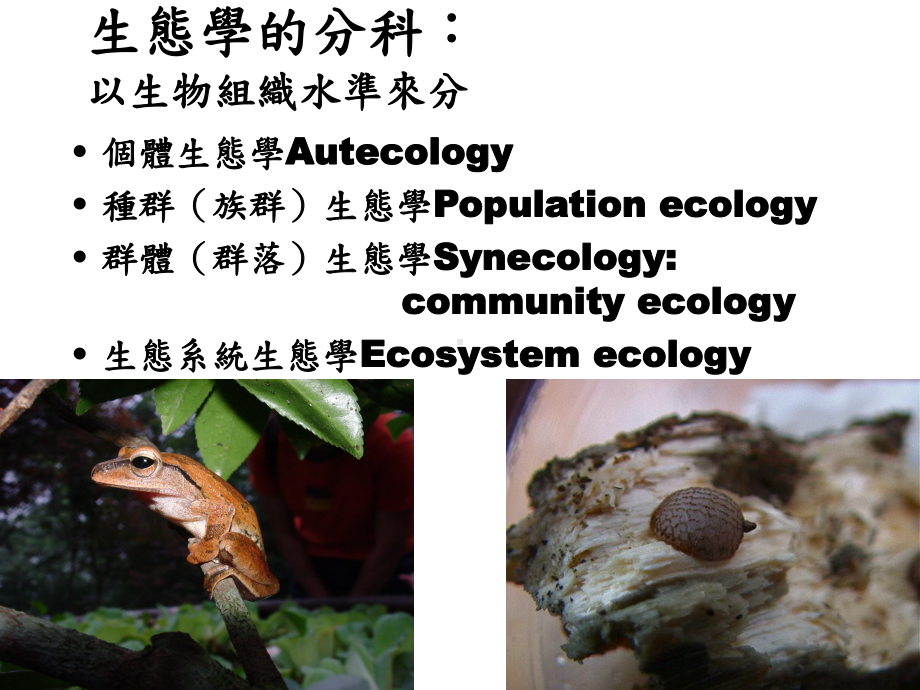 族群生态学Populationecology群体群落课件.ppt_第2页