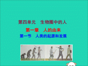 七年级生物下册第四单元生物圈中的人第一章人的由来1人类的起源和发展教学课件新人教版.ppt