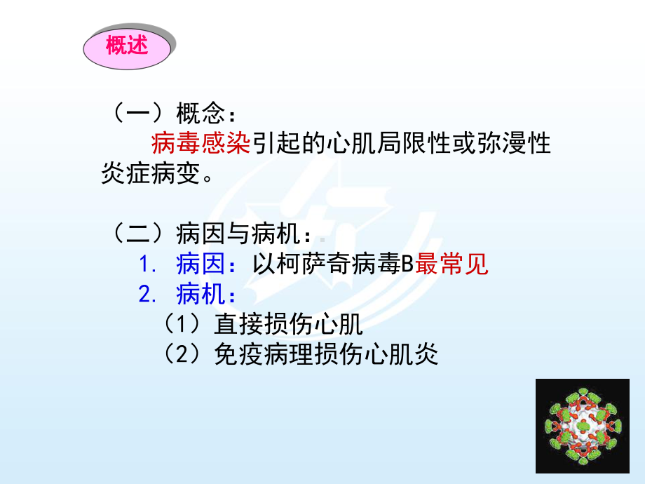 第八节-心肌炎患者的护理-《内科护理》课件.ppt_第3页