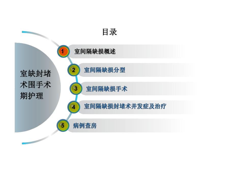 室间隔缺损的介入治疗课件最新版.ppt_第2页