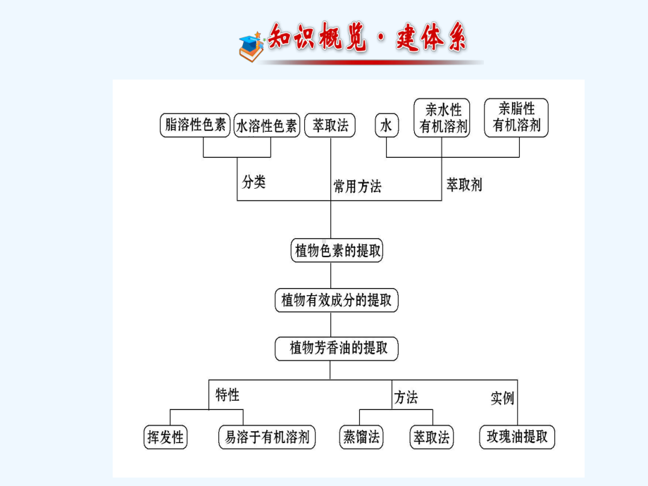 植物有效成分的提取课件.ppt_第2页