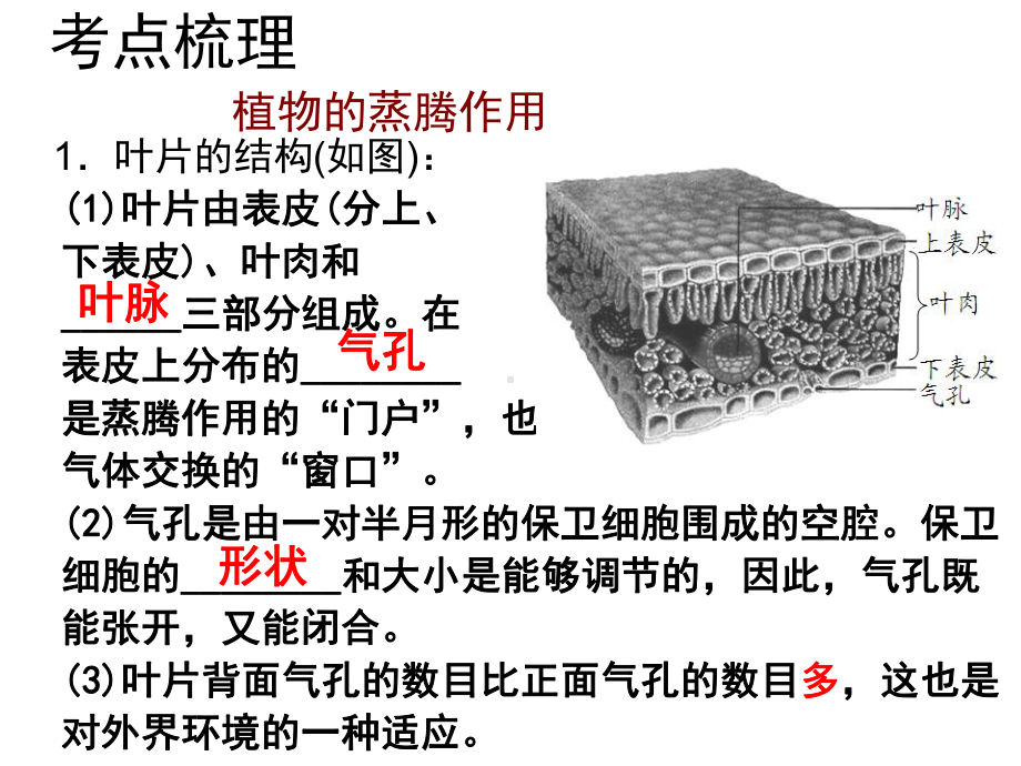 绿色植物的光合作用和呼吸作用作用专题复习课件培训资料.ppt_第3页