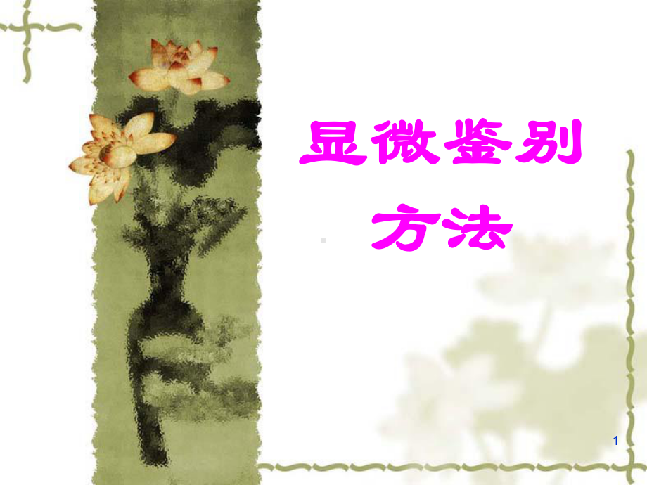 中药显微鉴定学习课件.ppt_第1页