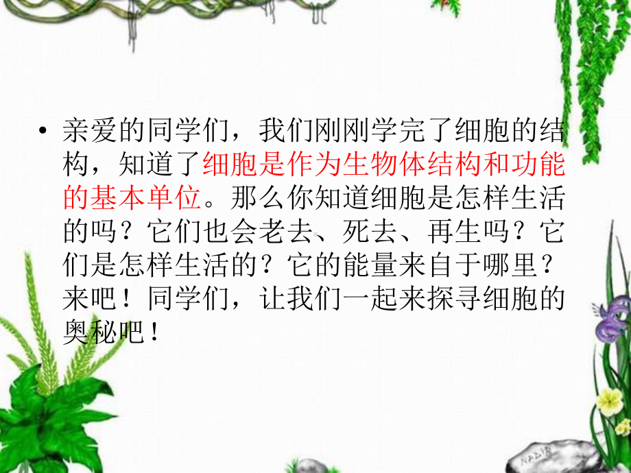 细胞的生活需要物质和能量课件.ppt_第2页