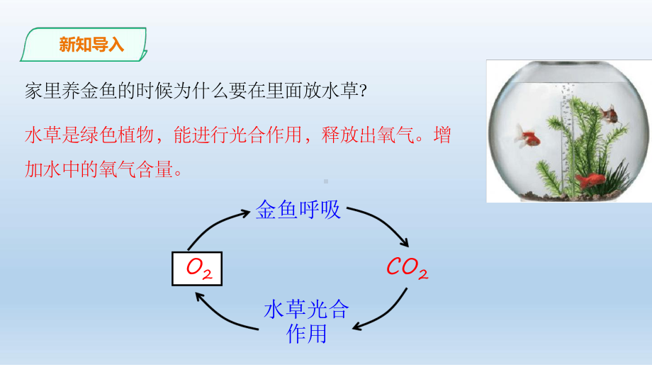 浙教版八年级科学下册-37自然界中的氧循环和碳循环课件.ppt_第2页