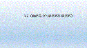 浙教版八年级科学下册-37自然界中的氧循环和碳循环课件.ppt