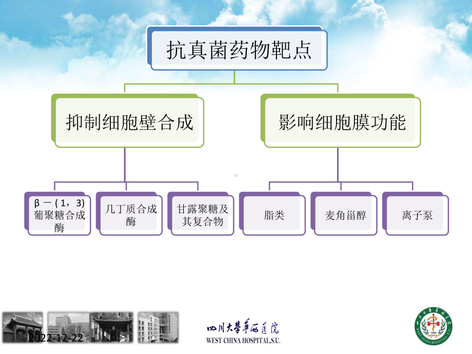 新型抗真菌药物参考课件.ppt_第2页