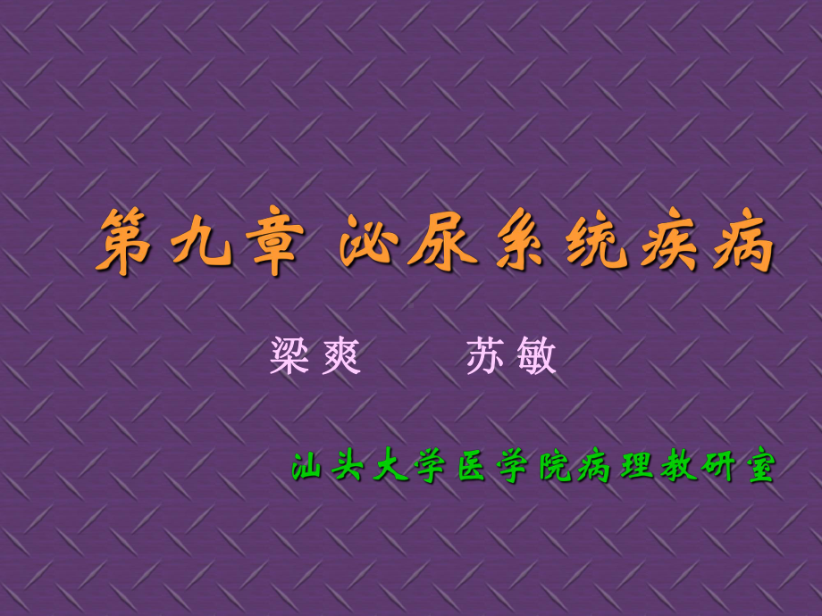 第九章泌尿系统疾病╲╲病理学课件.ppt_第1页