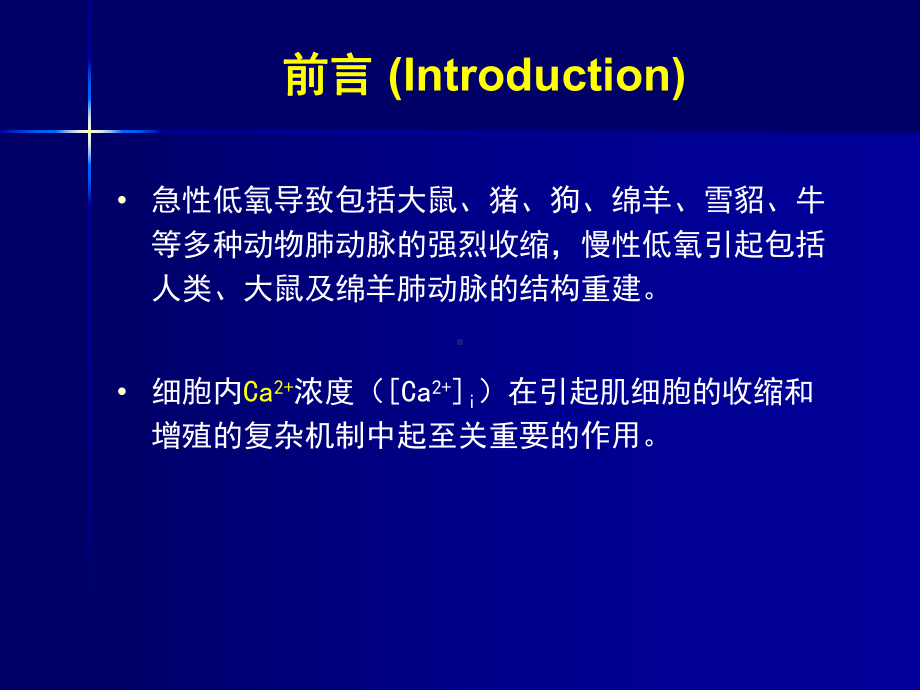 肺动脉高压分子机制的研究进展课件.ppt_第3页