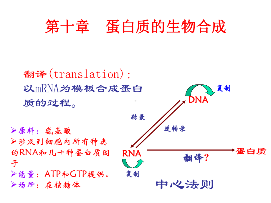 第10章-蛋白质的生物合成课件.ppt_第1页