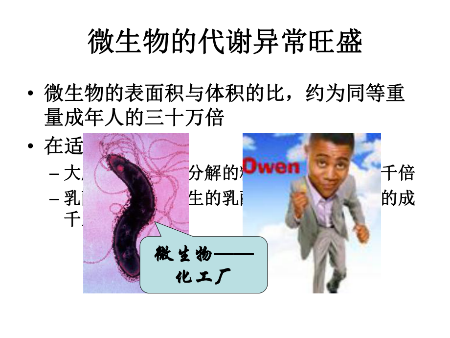 第二节-微生物的营养、代谢和生长课件.ppt_第3页