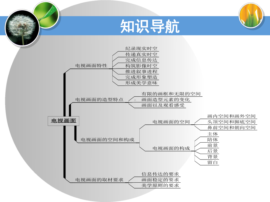 电视摄像与画面编辑第1章课件.ppt_第2页