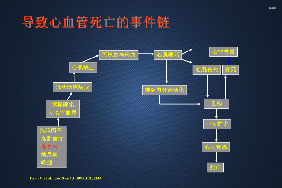 心血管常用药物注意事项-课件.ppt_第3页