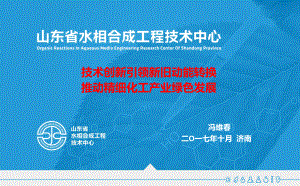 技术创新引领新旧动能转换推动精细化工产业绿色发展课件.ppt