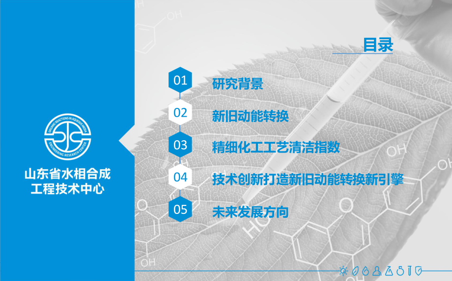 技术创新引领新旧动能转换推动精细化工产业绿色发展课件.ppt_第2页