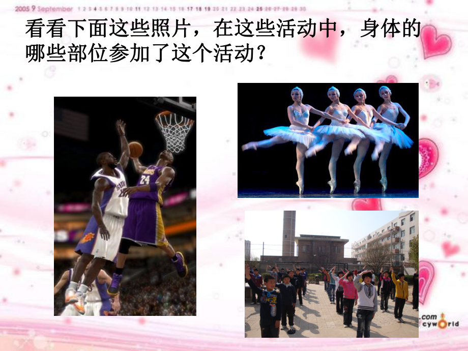 神经系统和神经调节汇总资料课件.ppt_第3页