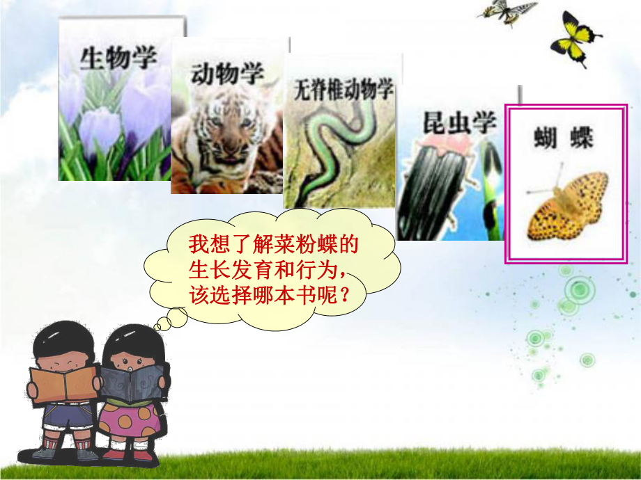 第一节-尝试对生物进行分类课件.ppt_第3页