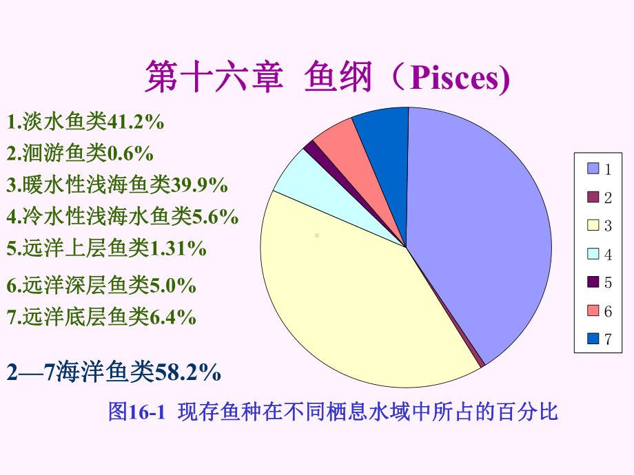 普通动物学第16章鱼纲课件.ppt_第2页