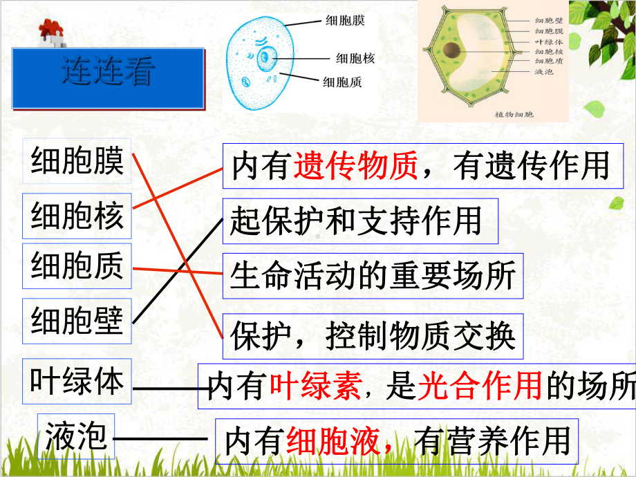 浙教版七年级科学上册22显微镜使用课件.ppt_第2页