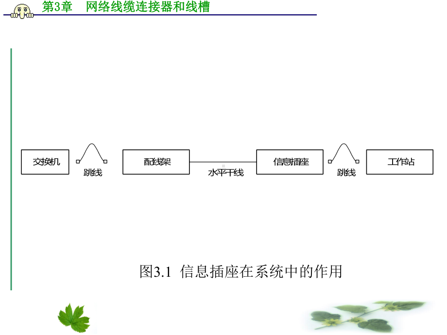 第3章-网络线缆连接器和线槽课件.ppt_第2页