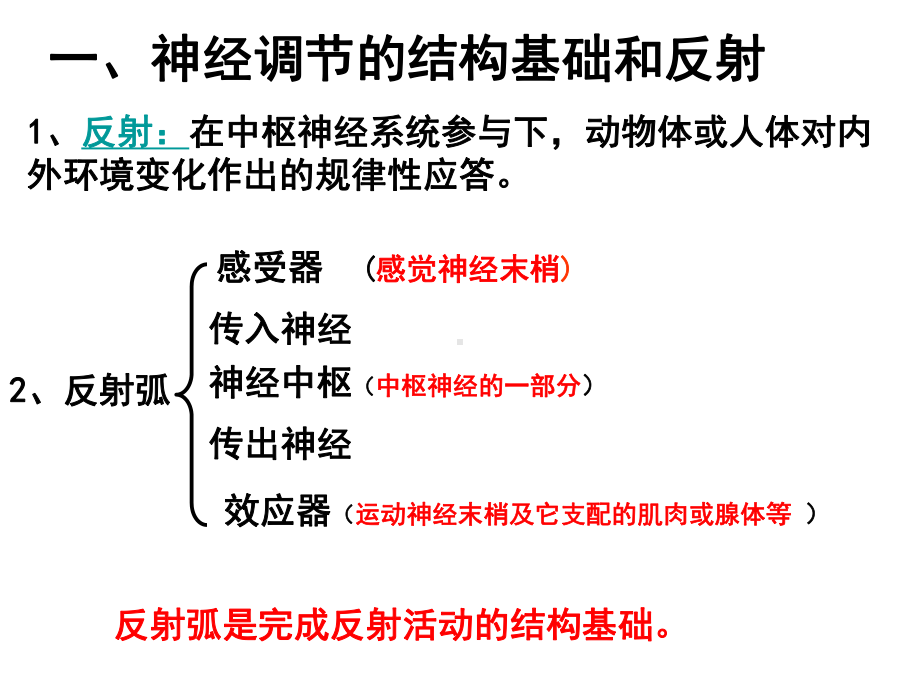 神经系统的结构和功能BB课件.ppt_第2页