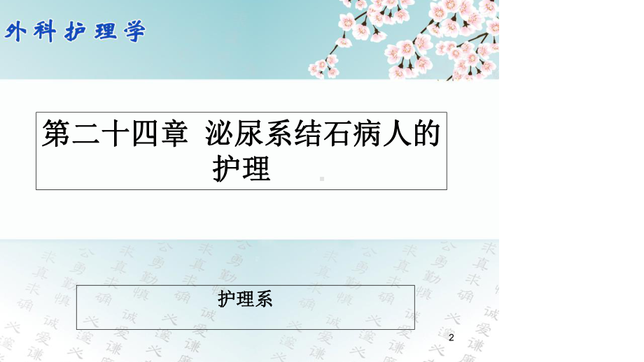 尿石症病人的护理(一)课件.ppt_第2页