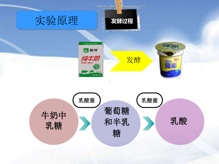 制作酸奶的方法-课件.ppt_第3页