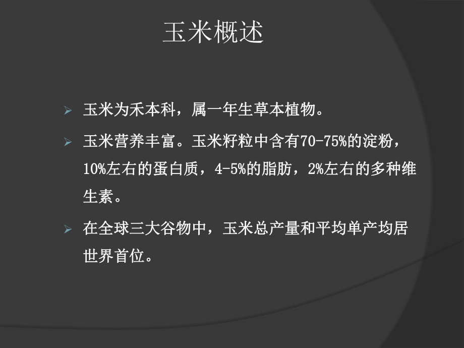 玉米产业链及贸易操作课件.pptx_第2页