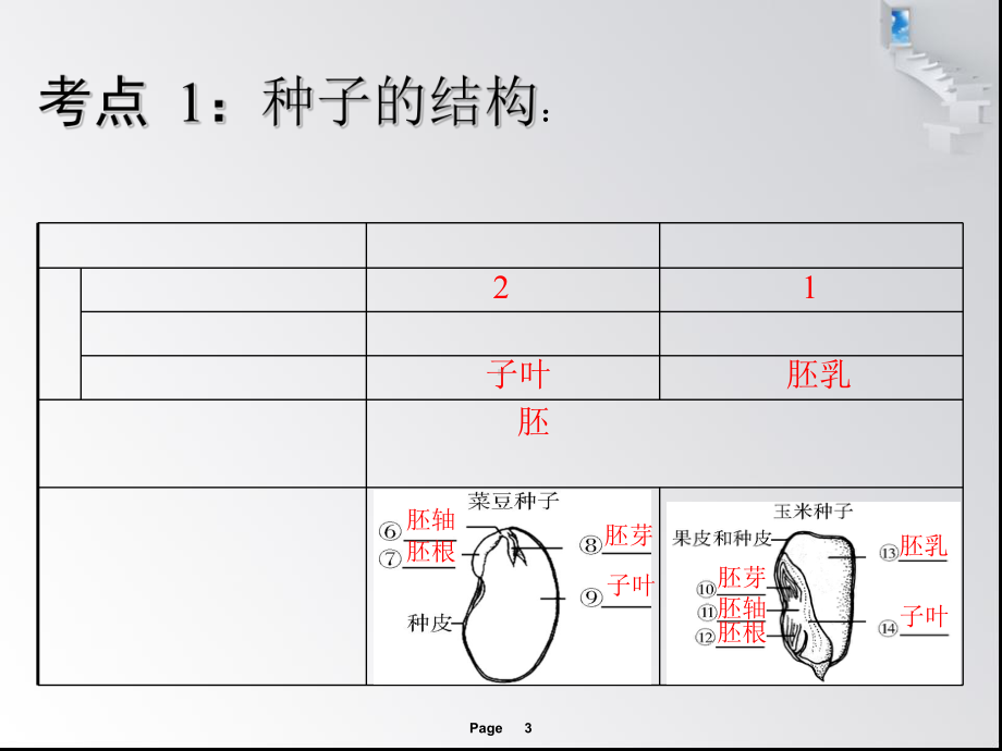 第一讲被子植物的一生课件.ppt_第3页