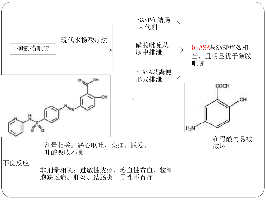 氨基水杨酸类在IBD中的应用比较课件.ppt_第3页