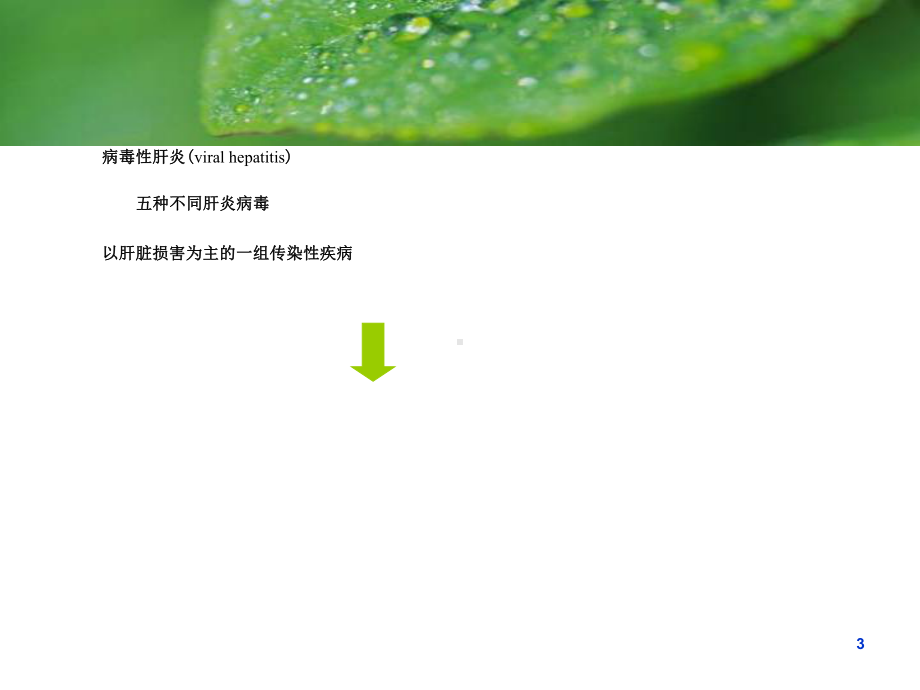 流行病学-病毒性肝炎课件.ppt_第3页